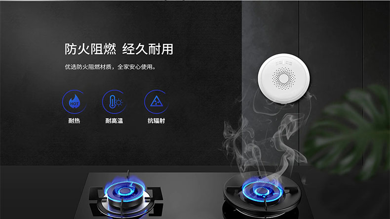 智能家居|燃?xì)鈭缶? title=